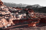 photo thumbnail #2