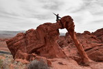 photo thumbnail #5