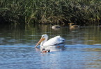 photo thumbnail #11