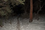 photo thumbnail #2