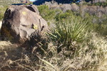 photo thumbnail #5