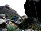 photo thumbnail #6