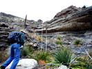 photo thumbnail #11