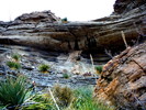 photo thumbnail #12