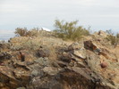 photo thumbnail #3