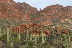 photo thumbnail #2