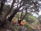 photo thumbnail #3
