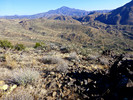 photo thumbnail #7