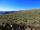photo thumbnail #9