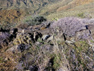 photo thumbnail #14