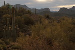photo thumbnail #6