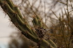 photo thumbnail #14