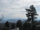 photo thumbnail #2