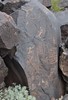 photo thumbnail #14