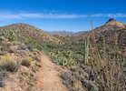 photo thumbnail #3