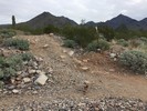 photo thumbnail #10