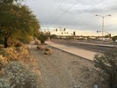 photo thumbnail #8