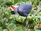photo thumbnail #13