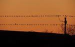 photo thumbnail #15