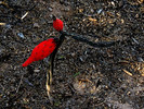 photo thumbnail #6