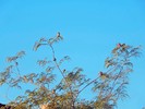 photo thumbnail #11