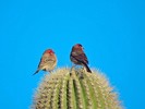 photo thumbnail #14