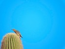 photo thumbnail #15