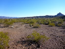 photo thumbnail #4