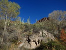 photo thumbnail #12