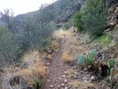 photo thumbnail #7
