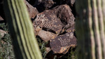 photo thumbnail #4