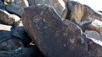 photo thumbnail #15