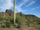 photo thumbnail #1