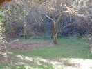 photo thumbnail #15