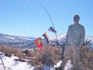 photo thumbnail #11