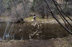 photo thumbnail #6