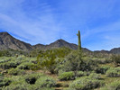 photo thumbnail #6