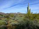 photo thumbnail #7