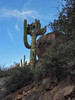 photo thumbnail #1