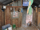photo thumbnail #15