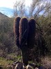 photo thumbnail #4