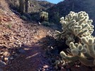 photo thumbnail #6