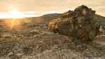 photo thumbnail #6