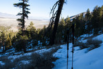 photo thumbnail #6