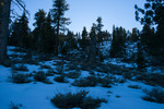 photo thumbnail #8