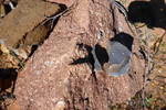 photo thumbnail #7