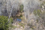 photo thumbnail #10