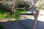 photo thumbnail #13
