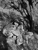 photo thumbnail #15