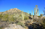 photo thumbnail #8
